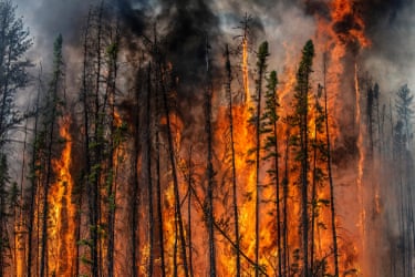 James Balog, Flame Front #6 near Fort Providence, Northwest Territories, Canada, June 22, 2015. A row of fiercely burning trees ablaze