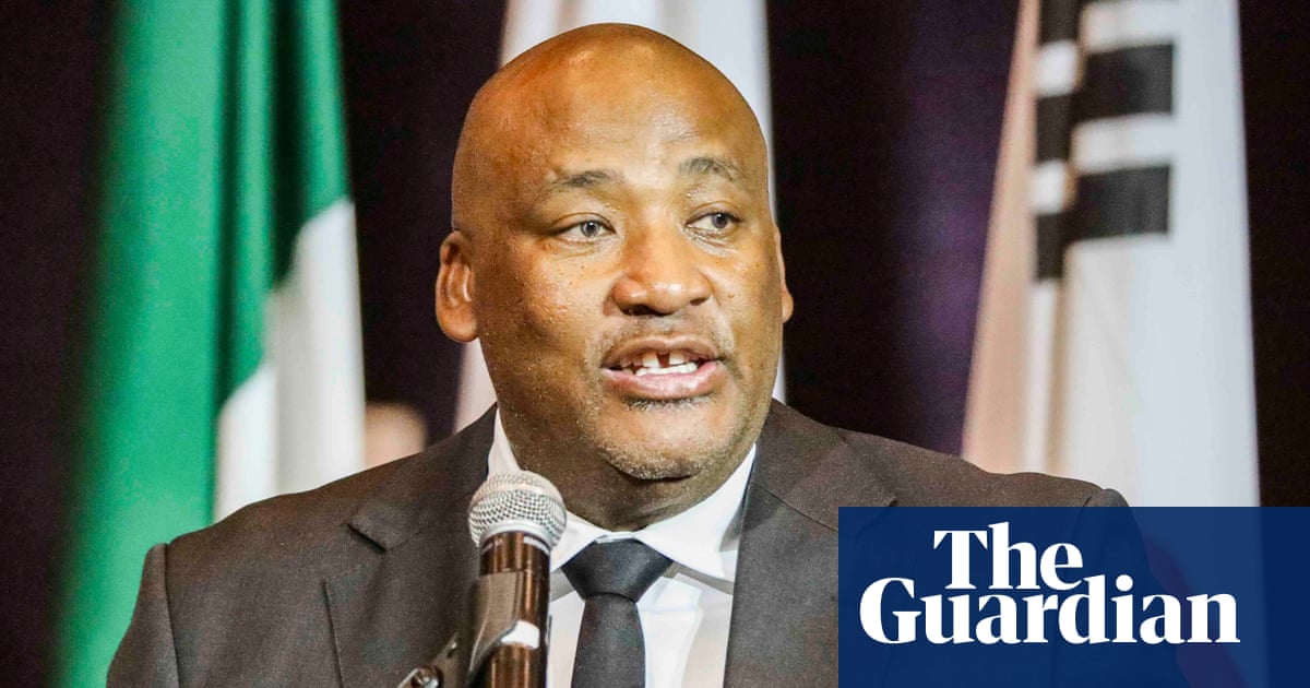 South African minister investigated for historical racial slurs on social media