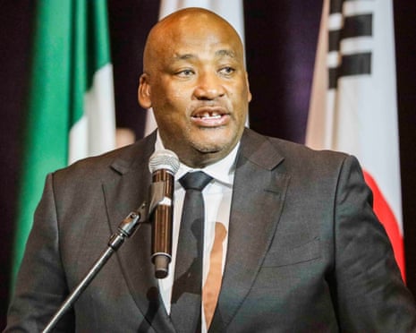 South African minister investigated for historical racial slurs on social media | South Africa | The Guardian