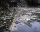 Mayors and other local leaders could be given powers to oversee water firms