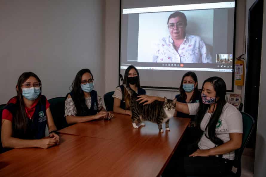 ‘They can’t silence us’: the female lawyers defending Colombia’s environment | Environmental activism ‘They can’t silence us’: the female lawyers defending Colombia’s environment | Environmental activism