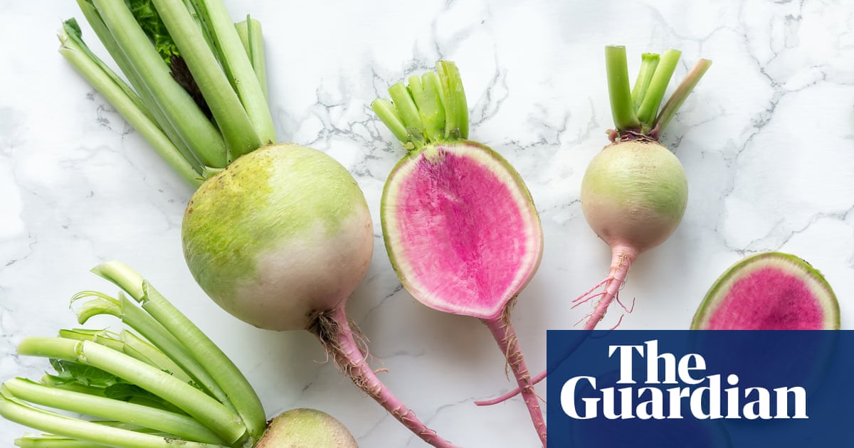 Plant winter radishes now and they will be ready to harvest in just eight weeks