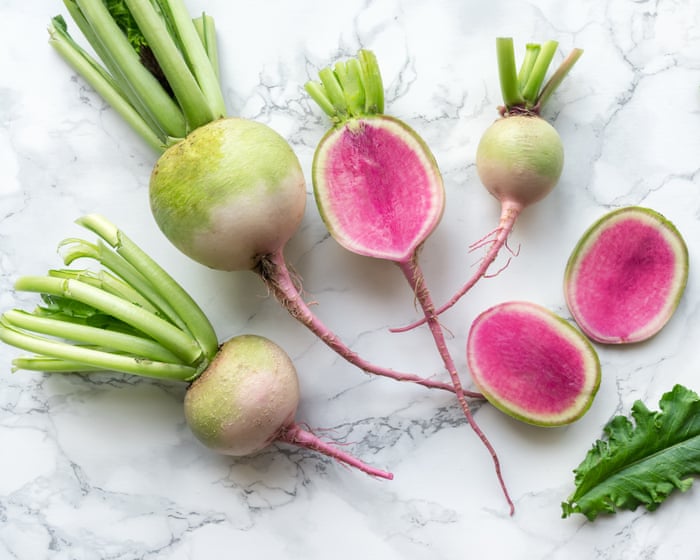 Plant winter radishes now and they will be ready to harvest in just eight weeks