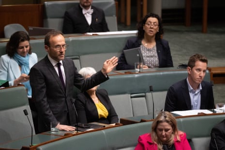 Adam Bandt stands up to make a point of order during question time as other crossbenchers look on.