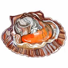 coquille