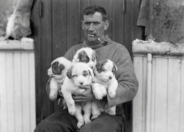 Tom Crean pictured With four Newborn Puppies and a pipe in his mouth