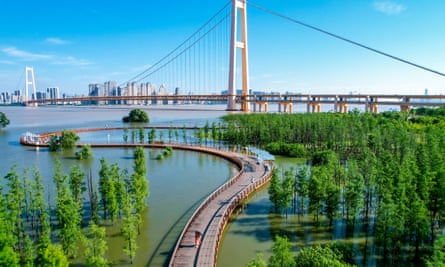 Aerial view of trees immersed in river water at Hongshan Jiangtan Park in Wuhan, China