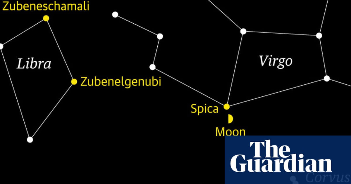 Starwatch: Spica greets the passing moon | Astronomy Starwatch: Spica greets the passing moon | Astronomy