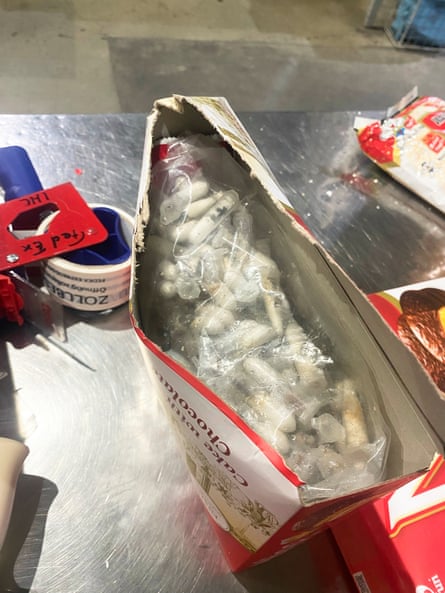 open cake box containing small plastic tubes with tarantulas in them