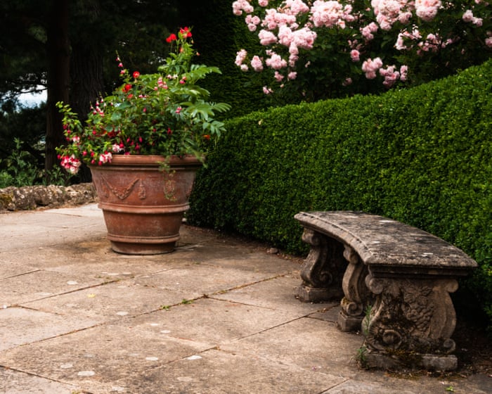 Nearly half of UK garden space is paved over, RHS study finds
