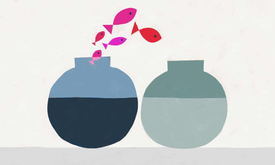 Illustration of two fishbowls, with fish jumping from one to the other