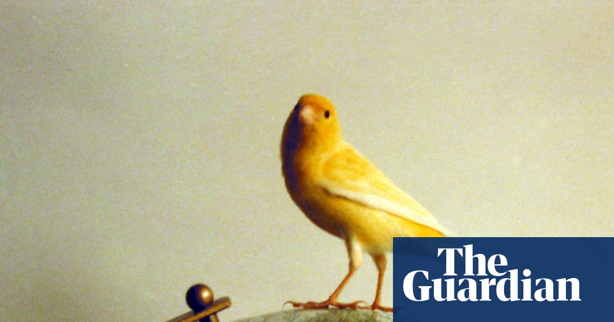 The pet I’ll never forget: Crispin, the big-headed canary