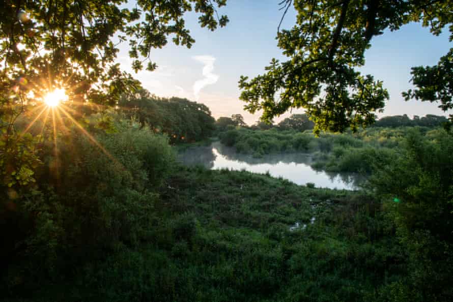 Knepp rewilding project 