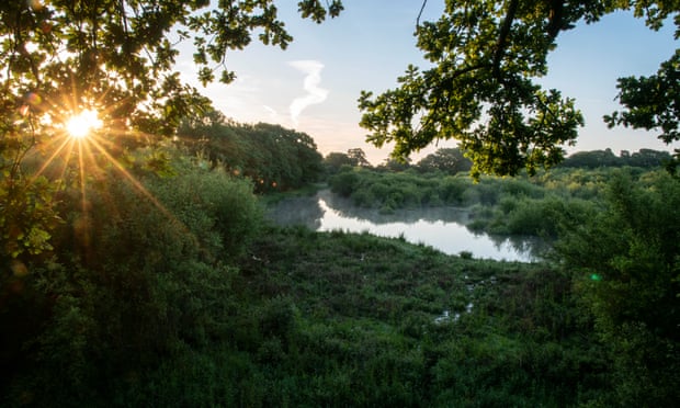 Knepp was one of the original rewilding projects, but many more have sprung up across the UK.