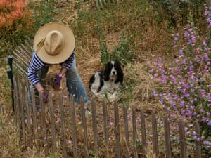 Some 500 volunteers have volunteered in Elysian Park over the last few years. “It’s not, just a one-time tree-planting on the on Earth Day,” said Jones. “It’s a years long relationship with the land.”Here, volunteer Rebecca Crane and her dog June at the Elysian Test Plot.