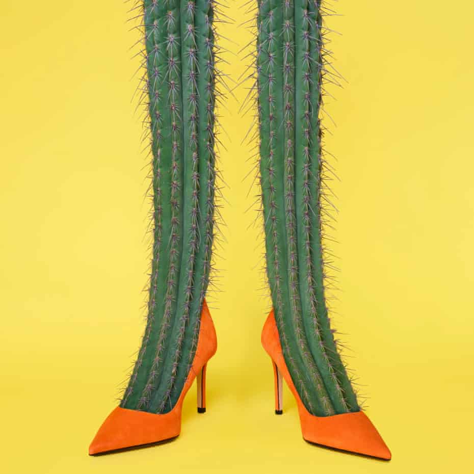 Prickly legs