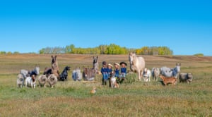 Children sit on hay bales in a field with animals