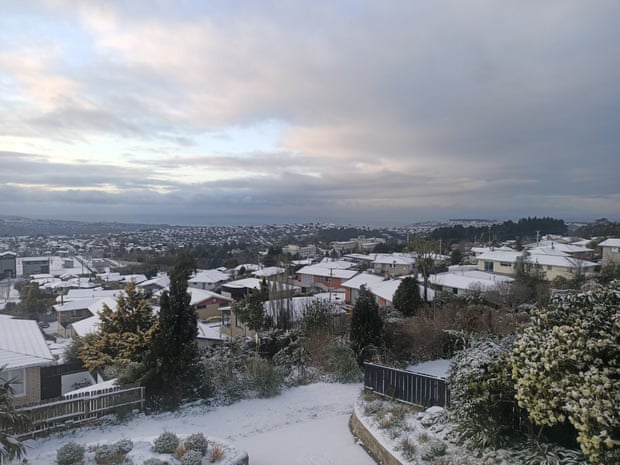 Снег на улицах Данидина