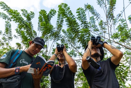 One man looks at a guide book, while two others use binoculars to look at the sky