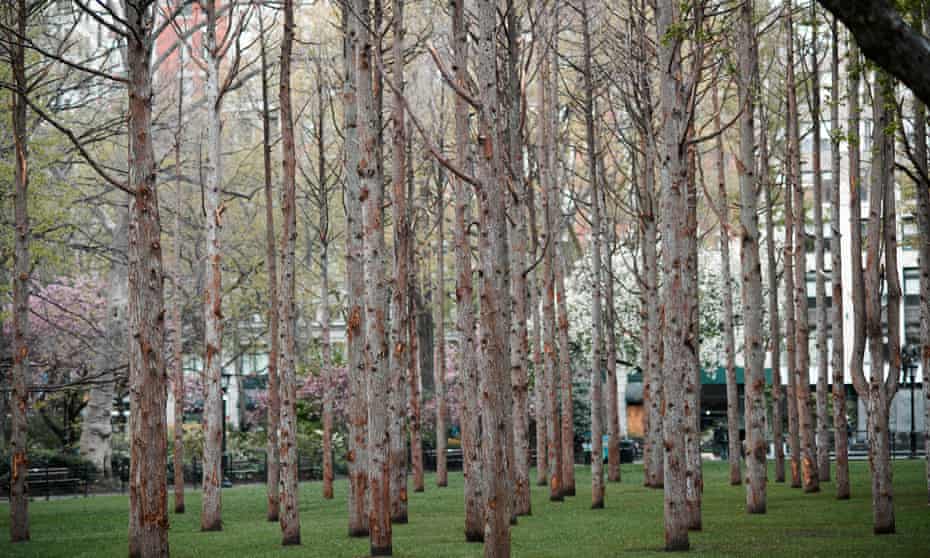 Maya Lin - Ghost Forest