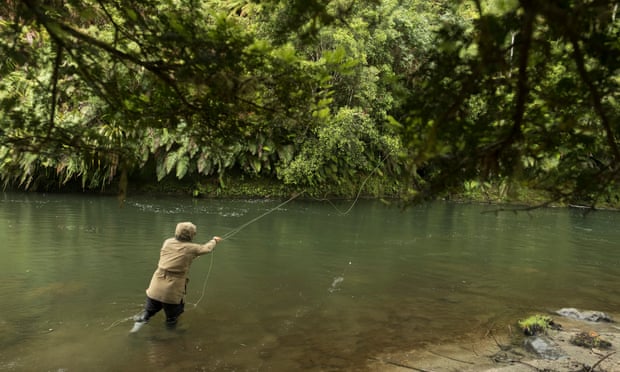 fishing on the upper Whanganui River