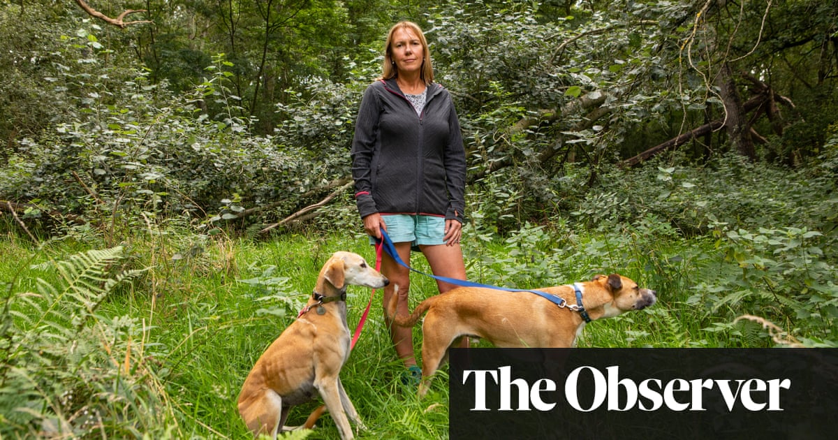 The millionaire rewilding the countryside, one farm at a time