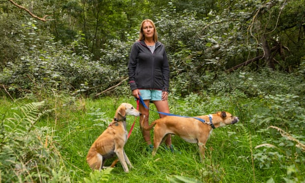 The millionaire rewilding the countryside, one farm at a time The millionaire rewilding the countryside, one farm at a time