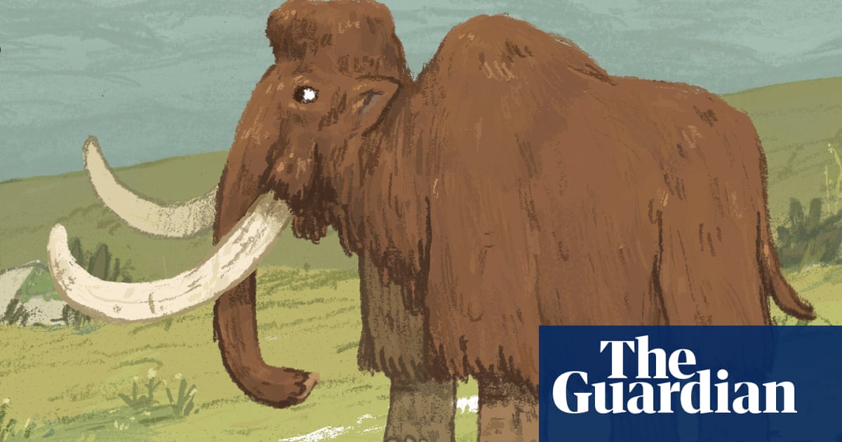 Learn How To Draw A Woolly Mammoth For Kids (Animals For Kids) Step By Step : Drawing Tutorials