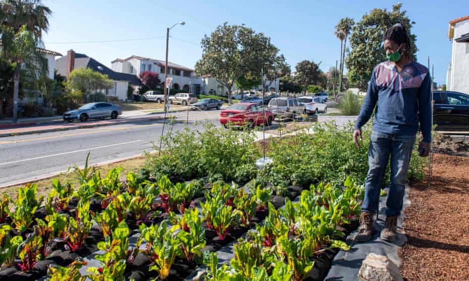 Jamiah Hargins looks at the crops at the Asante Microfarm in Los Angeles.