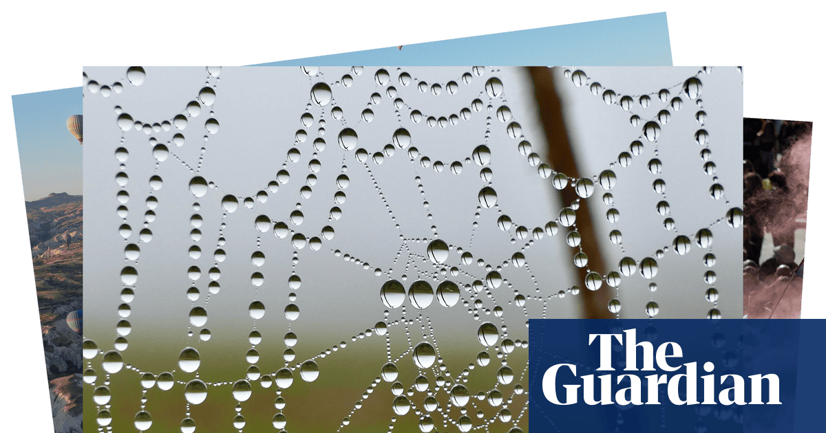 Hot-air balloons and a dewy cobweb: photos of the day Thursday