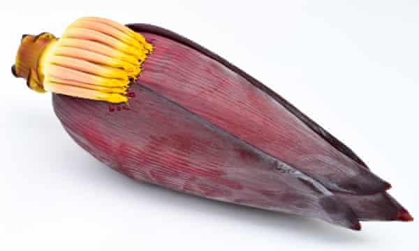 Banana blossom isolated on white background