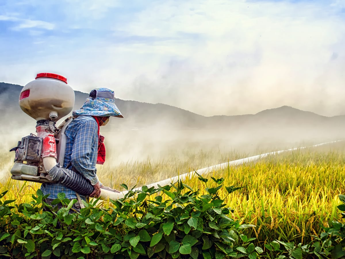 42 Top Pictures Roundup Application Temperature / The Heat Conduction Equation For A Thing Rod Is Gi Chegg Com 42 Top Pictures Roundup Application Temperature / The Heat Conduction Equation For A Thing Rod Is Gi Chegg Com