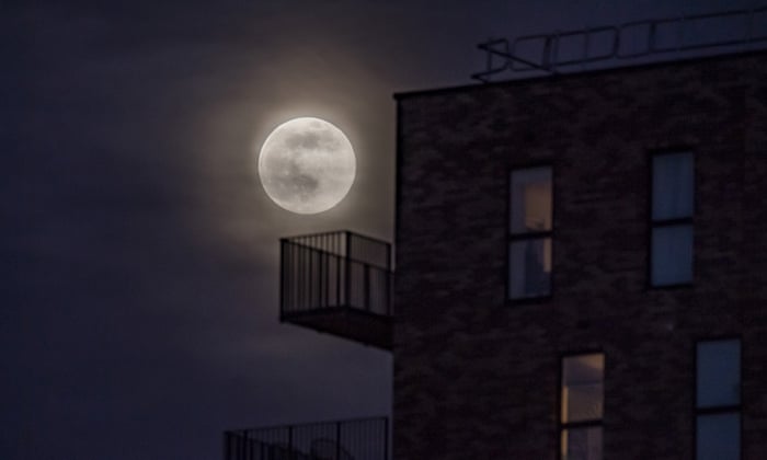 The Secrets To Stargazing From Your Backyard Travel The Guardian