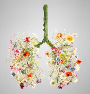 Lungs made from flowersSummer flowers made into the anatomical shape of human lungs