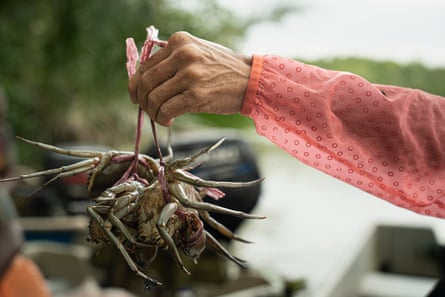 A hand holds up a crab caught off Johor, Malaysia.