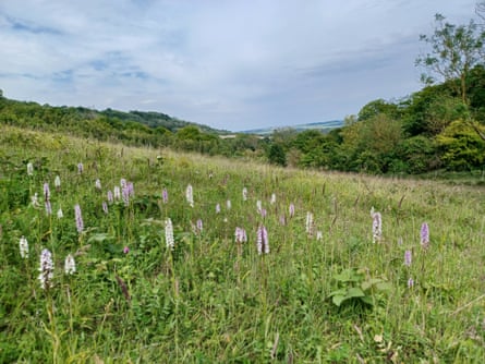 A national nature reserve in Kent.