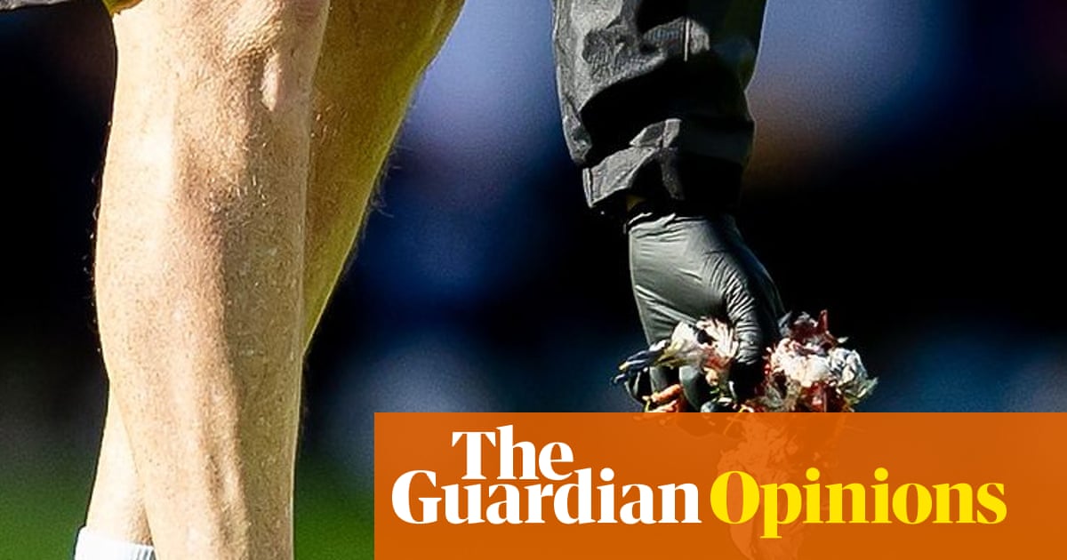 I've seen horrible things at football matches but what landed on the pitch last week was the worst | Adrian Chiles