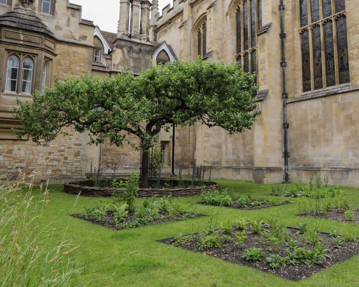 Cambridge experts recreate 336-year-old garden to commemorate ‘father of natural history’