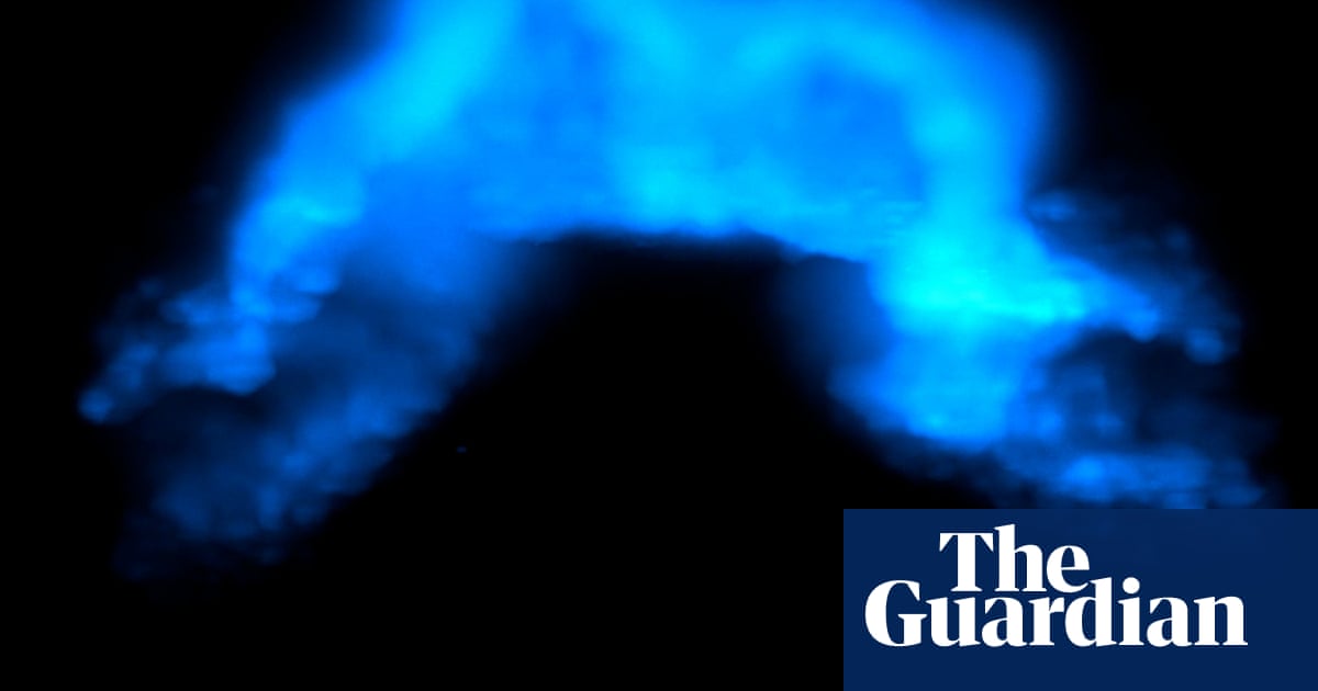 Moment of heart's formation captured in images for first time