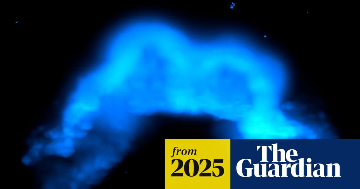 Moment of heart’s formation captured in images for first time
