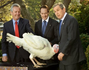 A turkey named “Liberty” surprises President George W. Bush at the now annual turkey pardoning event in 2001
