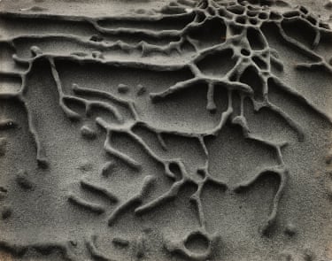 Sandstone Eosion, Point Lobos, 1942By the late 1930s and early 1940s, Weston was working with increasing passion for landscapes. While this focus also led to some of his most important nude studies (specifically his nudes on sand from 1936), it is in the sun-drenched dunes of Oceano, and the rugged terrains of Big Sur, Death Valley, and Point Lobos, that, to paraphrase Weston himself, ‘the heavens and earth became one’