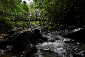 Turistas exploram a floresta da ilha