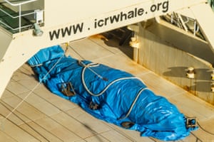 Sea Shepherd activists say this photo shows a dead minke whale covered by a tarpaulin on the deck of the Nisshin Maru whaler factory ship.