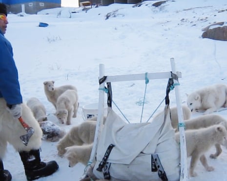Writer Nancy Campbell’s Greenland host, Malik, with his dogsled team