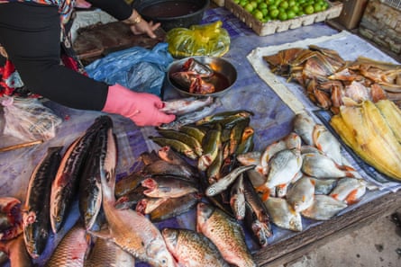 Fish from Tonlé Sap for sale in a market.