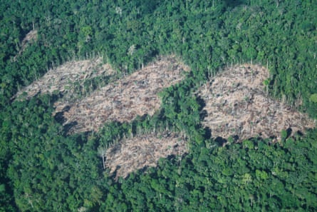 Aerial shot of an expanse of rainforest with five empty clearings where trees have been chopped down