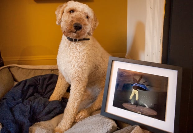 A woolly dog ​​posing with an art print in a frame