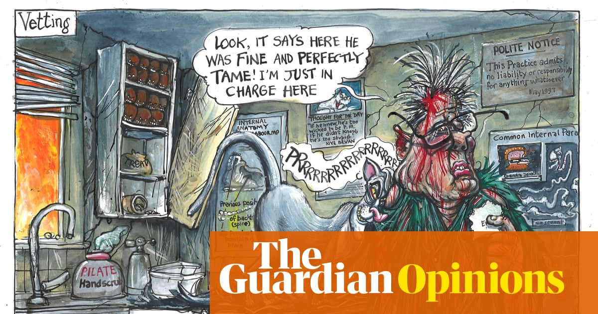 Martin Rowson on the Mandelson vetting controversy – cartoon