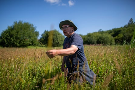 Carl walking through the meadow